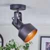 Tylar Plafones, Spot techo Negro, 1 luz