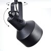 Tylar Plafones, Spot techo Negro, 1 luz