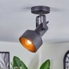 Tylar Plafones, Spot techo Negro, 1 luz