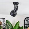 Tylar Plafones, Spot techo Negro, 1 luz