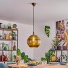 Koyoto Lámparas suspendidas, Luminarias esféricas, Lámparas colgantes dorado, 1 luz
