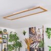 Belan Plafones, Panel LED Crudo, Blanca, 1 luz