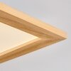 Belan Plafones, Panel LED Crudo, Blanca, 1 luz