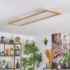 Belan Plafones, Panel LED Crudo, Blanca, 1 luz