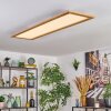 Belan Plafones, Panel LED Crudo, Blanca, 1 luz