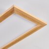 Belan Plafones, Panel LED Crudo, Blanca, 1 luz