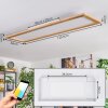 Belan Plafones, Panel LED Crudo, Blanca, 1 luz