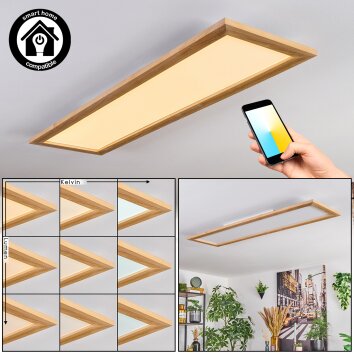 Belan Plafones, Panel LED Crudo, Blanca, 1 luz