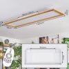 Belan Plafones, Panel LED Crudo, Blanca, 1 luz, Mando a distancia