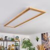 Belan Plafones, Panel LED Crudo, Blanca, 1 luz, Mando a distancia
