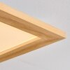 Belan Plafones, Panel LED Crudo, Blanca, 1 luz, Mando a distancia