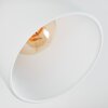 Starkeryd Plafones, Spot techo Cromo, Blanca, 4 luces