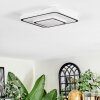 Borin Plafones LED Gris, Blanca, 1 luz