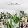 Borin Plafones LED Gris, Blanca, 1 luz
