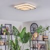 Borin Plafones LED Gris, Blanca, 1 luz