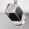 Danil Plafones, Spot techo LED Níquel-mate, 6 luces