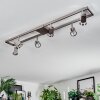 Danil Plafones, Spot techo LED Níquel-mate, 6 luces