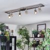 Danil Plafones, Spot techo LED Níquel-mate, 6 luces
