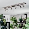Danil Plafones, Spot techo LED Níquel-mate, 6 luces