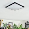 Castasegna Plafones, Panel LED Negro, Blanca, 1 luz Castasegna Plafones, Panel LED Negro, Blanca, 1 luz