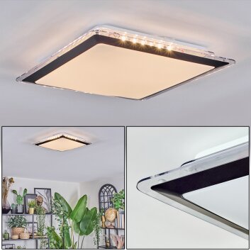Castasegna Plafones, Panel LED Negro, Blanca, 1 luz