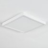Finsrud Plafones, Panel LED Blanca, 1 luz