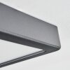 Finsrud Plafones, Panel LED Negro, 1 luz