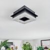 Walon Plafones LED Negro, 1 luz
