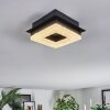 Walon Plafones LED Negro, 1 luz