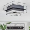 Walon Plafones LED Negro, 1 luz