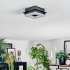 Walon Plafones LED Negro, 1 luz
