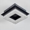 Walon Plafones LED Negro, 1 luz