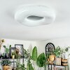 Zuril Plafones LED Blanca, 1 luz, Mando a distancia