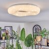 Zuril Plafones LED Blanca, 1 luz, Mando a distancia