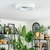 Zuril Plafones LED Blanca, 1 luz, Mando a distancia