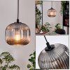 Trion Lámparas suspendidas, Lámparas colgantes Negro, 1 luz