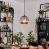 Trion Lámparas suspendidas, Lámparas colgantes Negro, 1 luz
