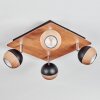 Haldor Plafones, Spot techo Cromo, Color madera, Negro, 4 luces