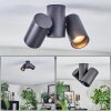 Daril Plafones, Spot techo Negro, 2 luces