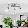 Mirlo Plafones, Spot techo Cromo, Níquel-mate, 3 luces