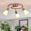 Mirlo Plafones, Spot techo Cromo, Níquel-mate, 3 luces