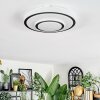 Borin Plafones LED Gris, Blanca, 1 luz