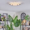 Borin Plafones LED Gris, Blanca, 1 luz