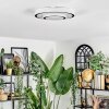 Borin Plafones LED Gris, Blanca, 1 luz