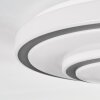 Borin Plafones LED Gris, Blanca, 1 luz