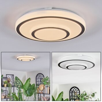 Borin Plafones LED Gris, Blanca, 1 luz