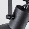 Tylar Plafones, Spot techo Negro, 2 luces