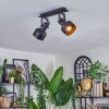 Tylar Plafones, Spot techo Negro, 2 luces