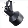 Tylar Plafones, Spot techo Negro, 3 luces