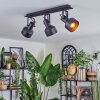 Tylar Plafones, Spot techo Negro, 3 luces